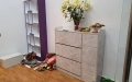 THI CÔNG NT SHOP NƯỚC HOA CHARME - Đ.QUANG TRUNG GÒ VẤP