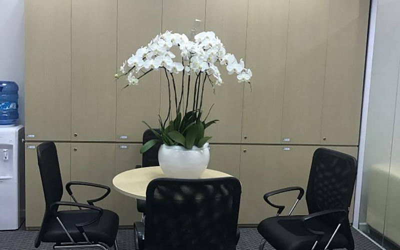 THI CÔNG HỆ THỐNG NGÂN HÀNG MB