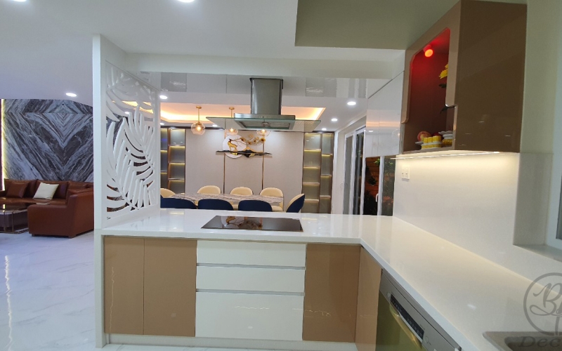 NT BIỆT THỰ ANH ĐỨC HOA - Đ.HIỀN VƯƠNG TÂN PHÚ